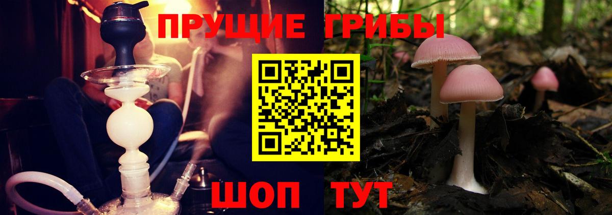 Псилоцибиновые грибы Magic Shrooms  Вход с VPN  Псилоцибиновые грибы Magic Shrooms  Кировск 